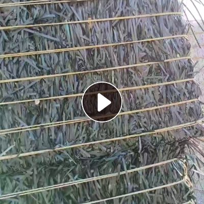 出售PET打包带废料，现货13吨左右