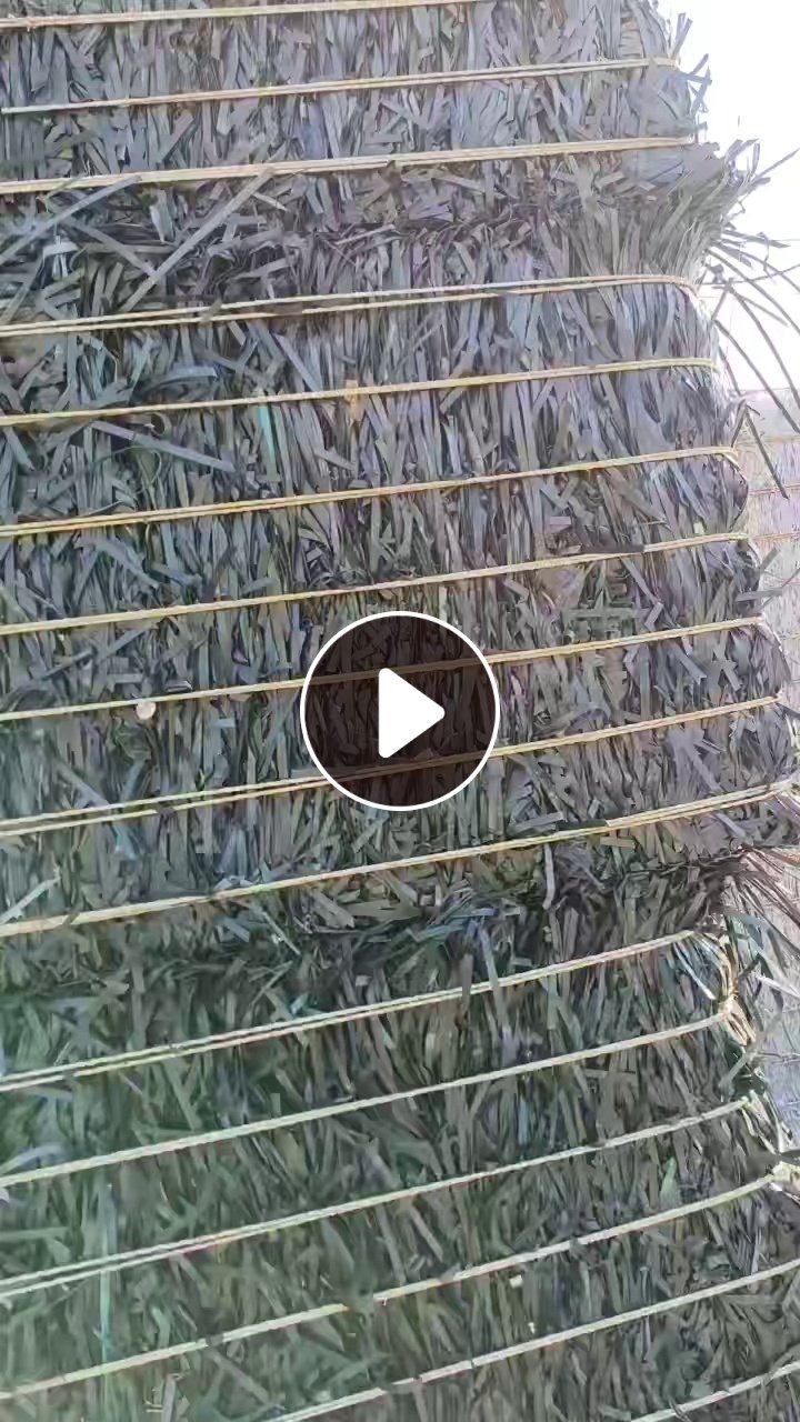 出售PET打包带废料，现货13吨左右