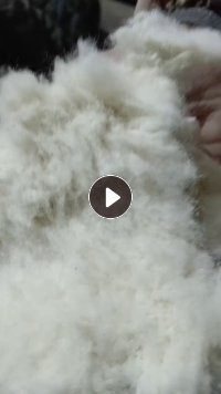 长期出售纺织厂下脚料，棉短绒，纯棉废毛，现货有13米一车，货在浙江金华