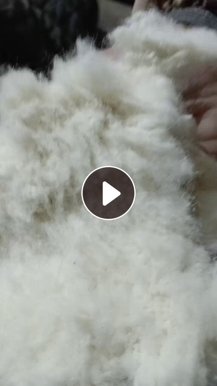 长期出售纺织厂下脚料，棉短绒，纯棉废毛，现货有13米一车，货在浙江金华