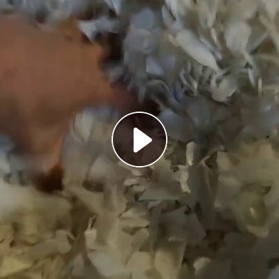 长期出售透析AB桶干粉破碎料