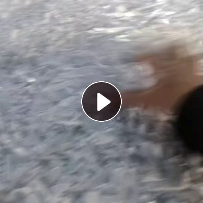 出售纯白无字涂料桶破碎料，现货七八吨