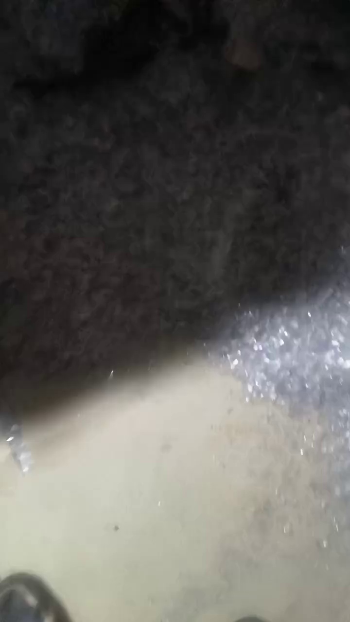 出售透明PVC吸塑盒破碎料，中性PVC破碎料，现货30吨，拉片做秧盘用