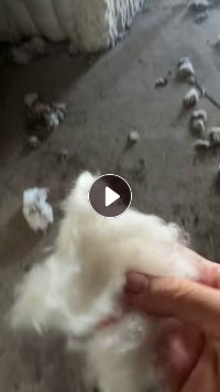 出售一批涤棉开花棉，涤棉车肚，棉含量80以上，现货121吨，在江西抚州