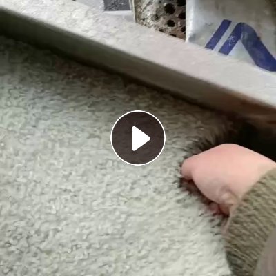 出售PP颗粒，餐盒颗粒，长期有货