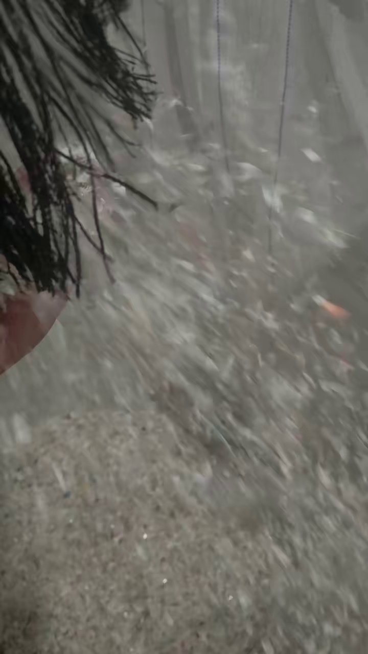 出售高溶脂PP乳白餐盒破碎料，月供80吨