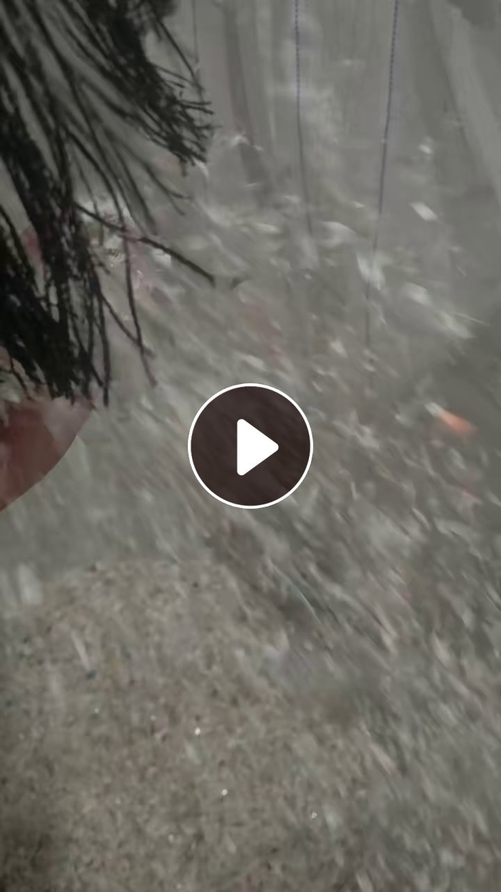 出售高溶脂PP乳白餐盒破碎料，月供80吨