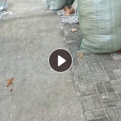 出售PP刨花，PP板材下来的，加上废板材有10吨货，