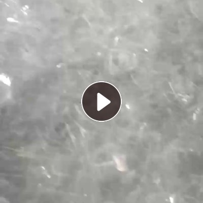 出售透明PET吸塑盒破碎料，A级料现货一挂车