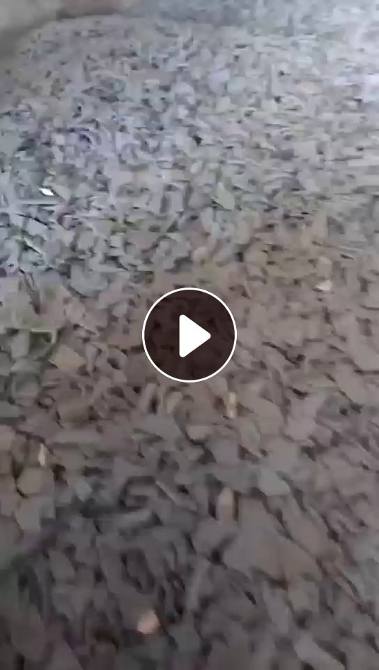 出售奶白色PET吸塑盒破碎料，现货够车，也有黑色吸塑盒破碎料