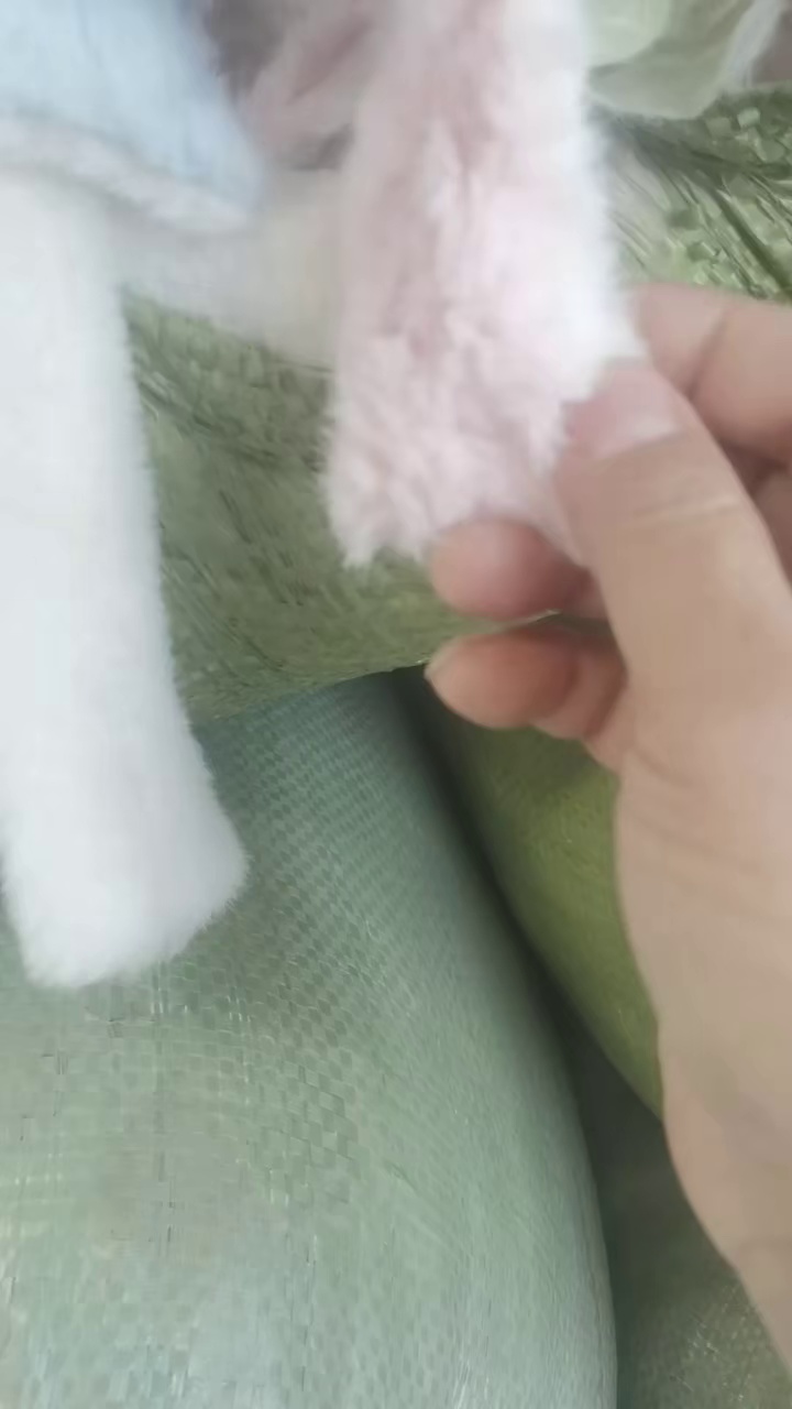 长期出售各种废布料，涤纶废布，浅三色，白色都有，现货有13米的5车左右，在江苏连云港