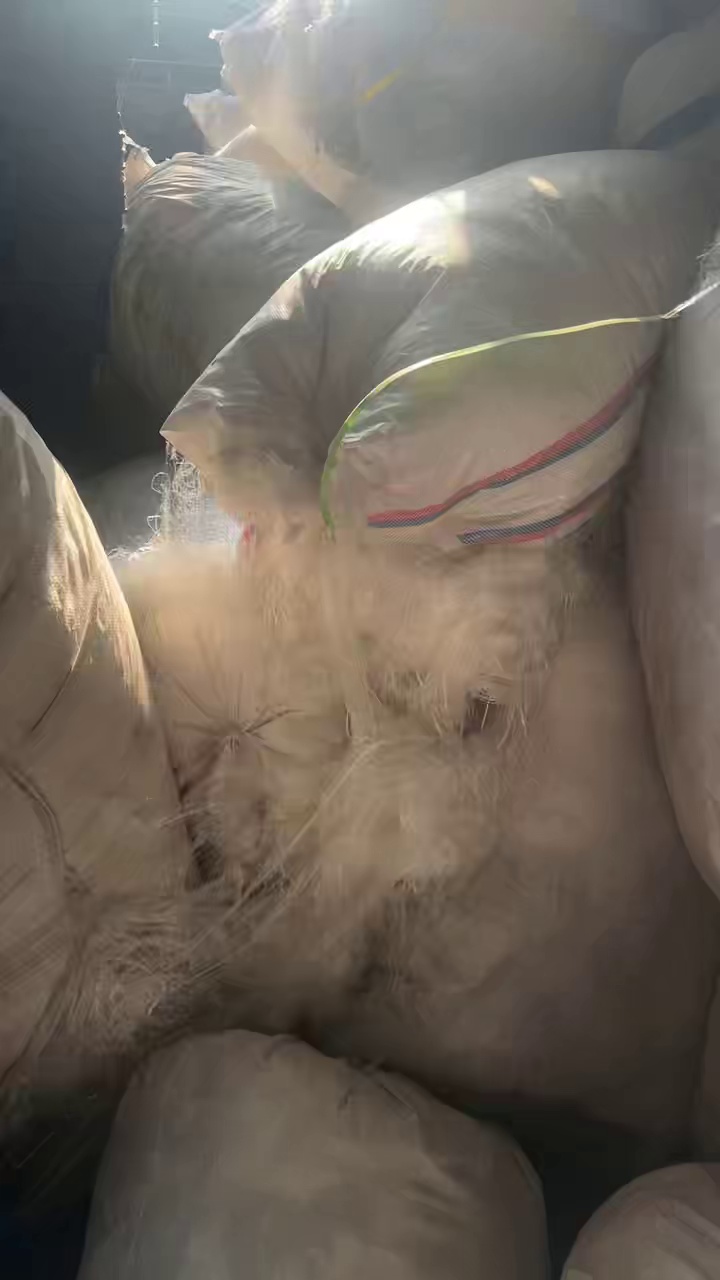 长期出售涤纶低弹丝，涤纶废丝，涤锦废丝，150D的，统货走，现货有个四五吨