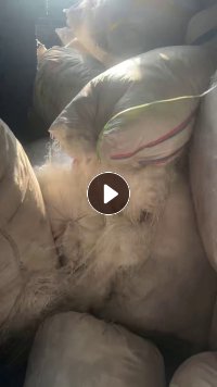 长期出售涤纶低弹丝，涤纶废丝，涤锦废丝，150D的，统货走，现货有个四五吨