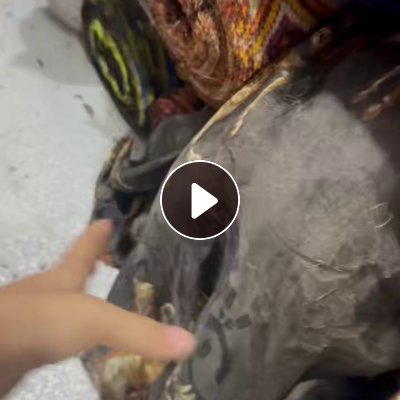 长期出售木薯丝刀口布，木薯丝大布也有，货在广东广州