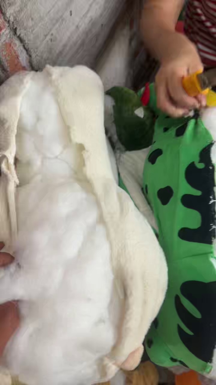 长期出售毛绒玩具娃娃棉，拆出来娃娃棉有3吨 ，不拆带皮有10吨，厂在广东湛江