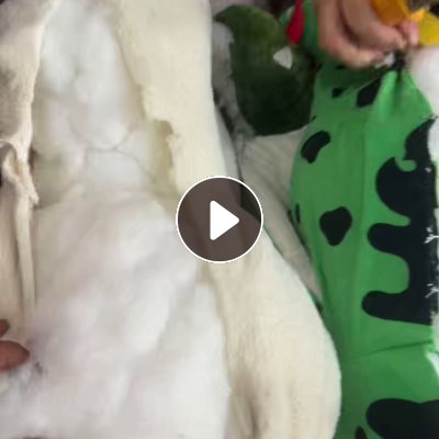 长期出售毛绒玩具娃娃棉，拆出来娃娃棉有3吨 ，不拆带皮有10吨，厂在广东湛江