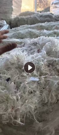 大量出售打包好的纯口杯纸水洗膜，一天一车