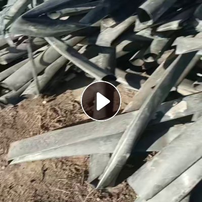 出售滴灌带毛料，主管跟毛管有分开，月供40-50吨左右