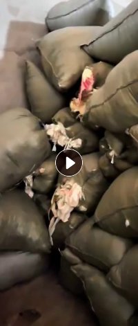 长期出售做婴儿服下来的纯棉废布，纯棉边角料，纯棉针织废布，现货9.6米一车