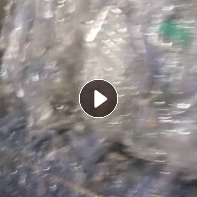 出售PET吸塑片破碎料，可用于纺丝，月供80吨