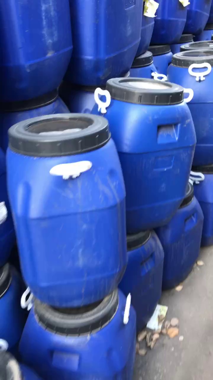 出售二手蓝桶， 50L，长期有货