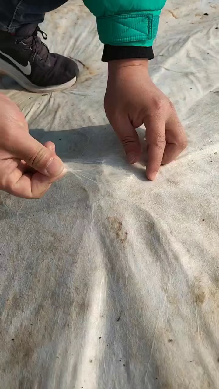 长期出售涤纶无纺布涤纶土工布，工地铺设地面的，没有胶，都是纯涤纶的，有点脏，月供400吨