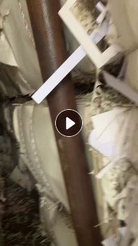 出售白色木浆瓶盖纸边角料