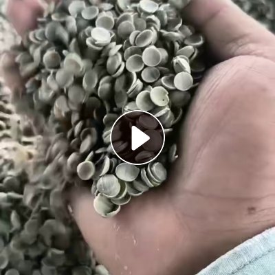 出售PE电池膜颗粒