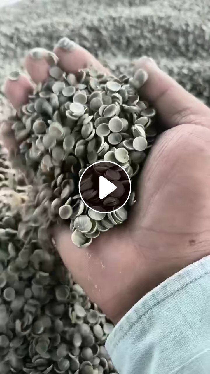 出售PE电池膜颗粒