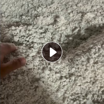 长期出售涤纶泡料丝泡氨纶泡料，涤纶水丝做出来的，都是白色的，涤纶现在每个月有400多吨