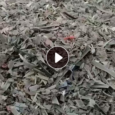 出售沉浮PP打包带破碎料，杂色的，长期有货