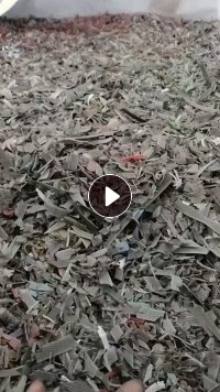 出售沉浮PP打包带破碎料，杂色的，长期有货