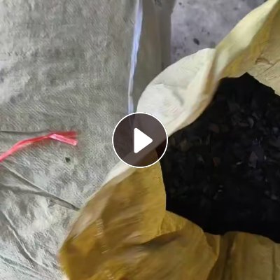 长期出售PVC汽车内饰破碎料，工作台皮子粉碎料，每个月30吨左右