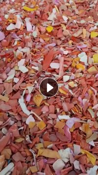 出售纯漂工程红丙，冲击10-12，灰分2个左右，现货一挂