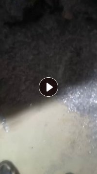 出售透明PVC吸塑盒破碎料，中性PVC破碎料，现货30吨，拉片做秧盘用