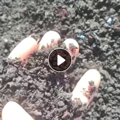 长期大量求购PET废料（打成颗粒也行）