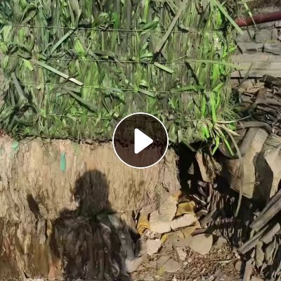 出售PET打包带废料，长期有货