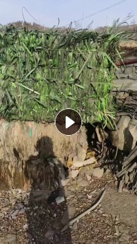 出售PET打包带废料，长期有货