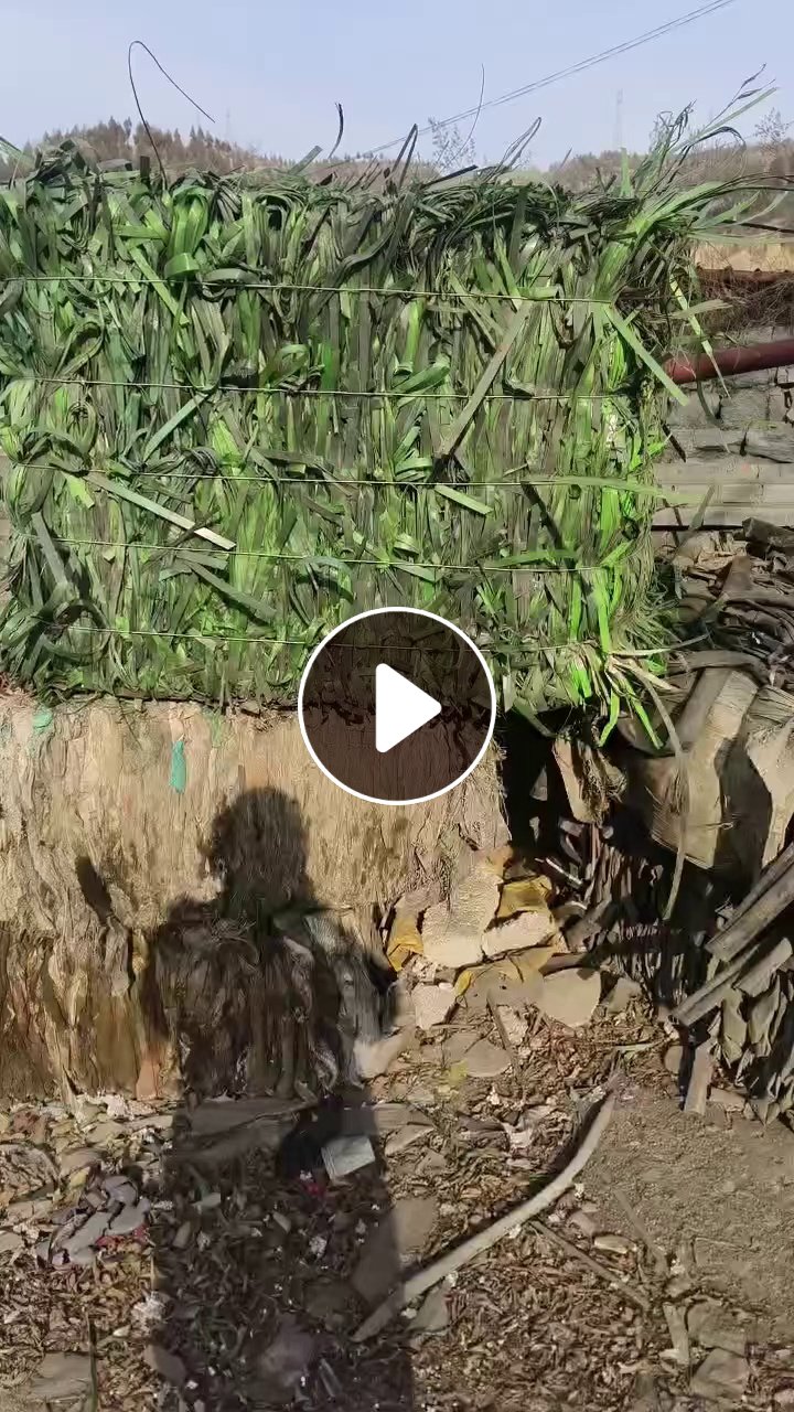 出售PET打包带废料，长期有货