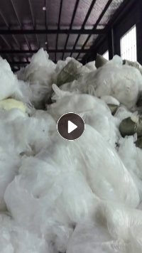 出售一级水洗低压膜，现货够车