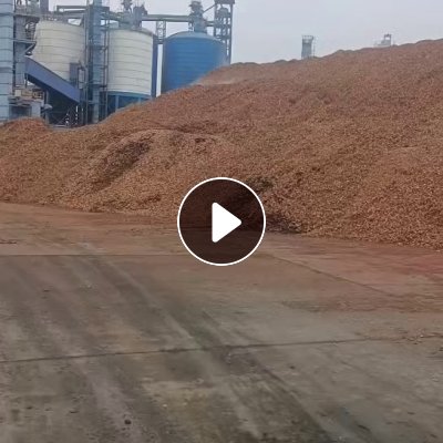 长期出售生物质木片燃烧料，热值3000-3500，月供10吨