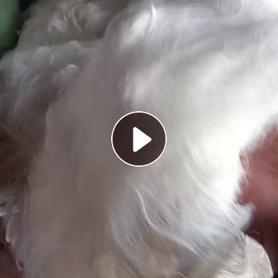 长期出售尼龙桨丝，锦纶桨丝，尼龙废丝，月供70-80吨，货在江苏苏州