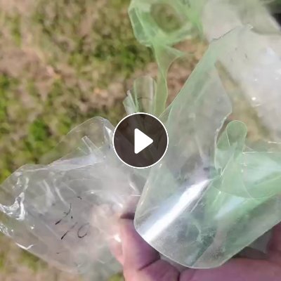 出售cpp膜废料，带胶，现货一挂车