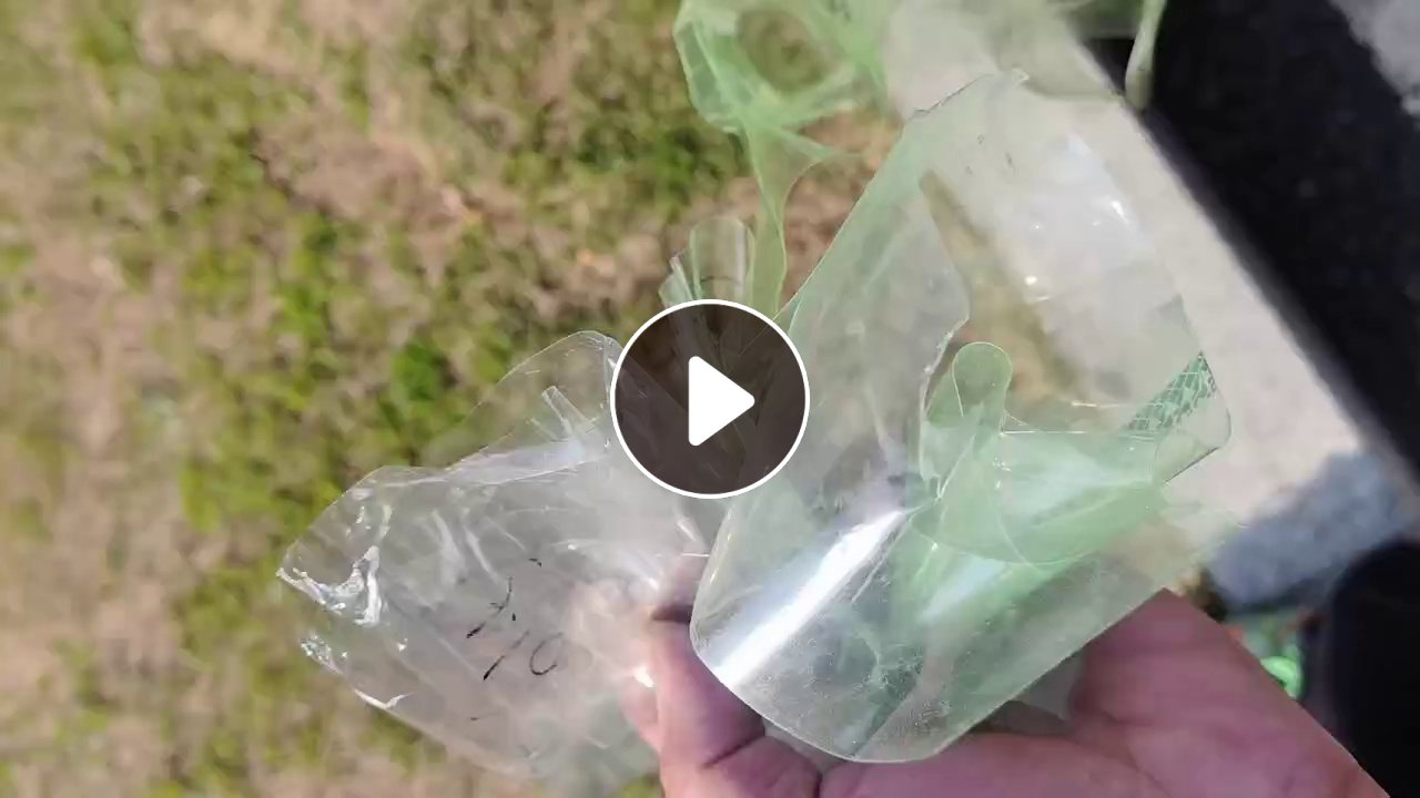 出售cpp膜废料，带胶，现货一挂车