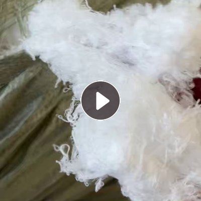 长期出售白色涤纶废丝，涤纶干丝，涤纶丝，月供十几吨，货在福建三明