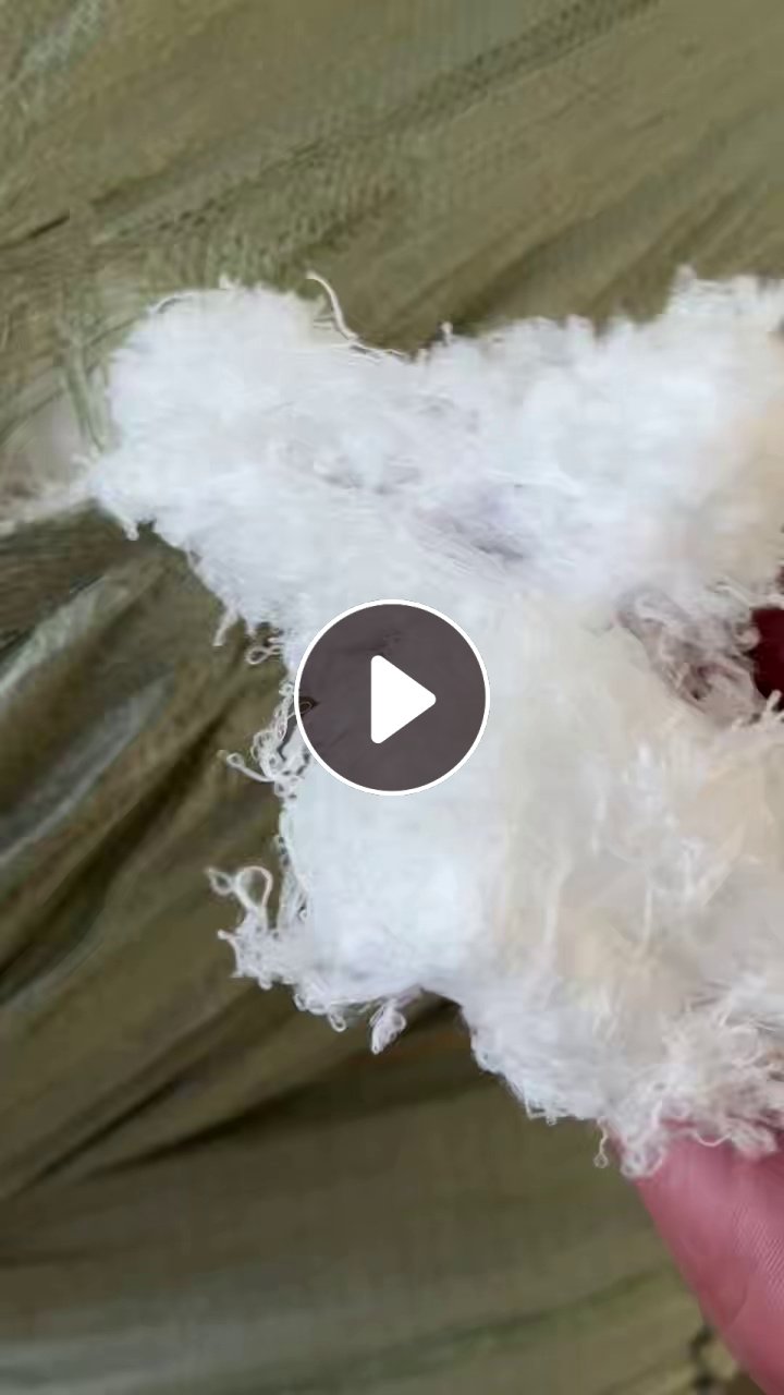 长期出售白色涤纶废丝，涤纶干丝，涤纶丝，月供十几吨，货在福建三明