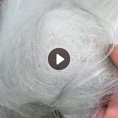 长期出售竞标下来的涤纶废丝，涤纶干丝，现货50多吨