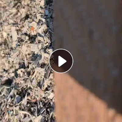 出售PP打包带破碎料，月供上百吨