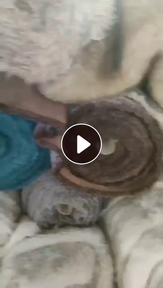 出售真毛卷材，有狗毛，老鼠毛，可以做毛领毛条用，现货50吨