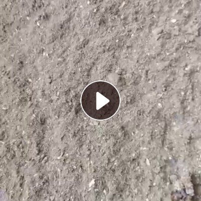 出售空分毛毛料